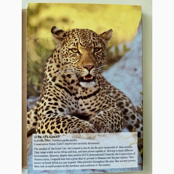 Endangered Species (2008) Collector’s Edition 5-Disc DVD Tin Set w/ Booklet Mint - Picture 12 of 16